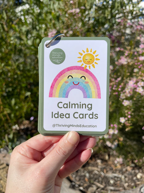 Calming Idea Cards- Ringed Set