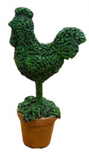 Mini Fairy Garden Rooster Hedge Plant