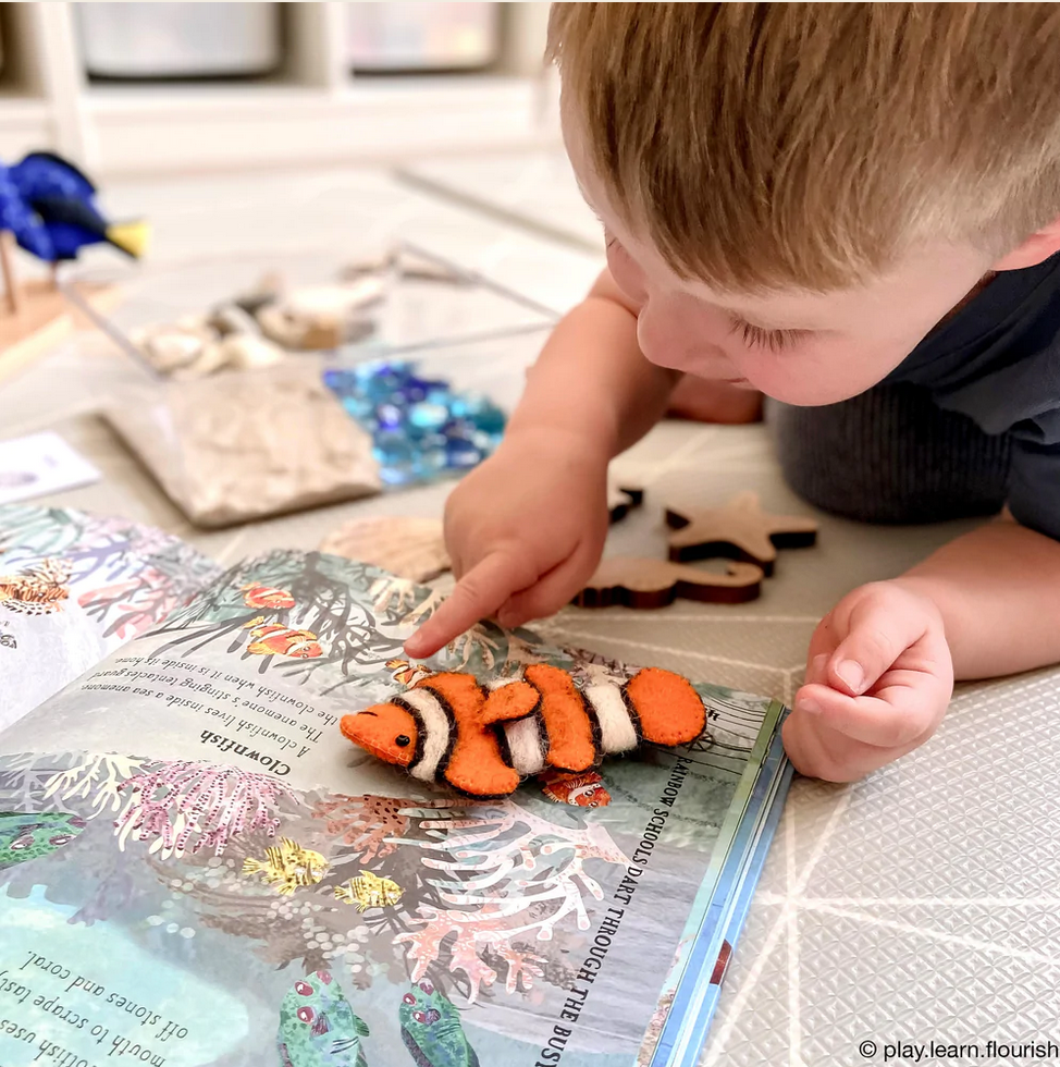 Australian Coral Reef Under the Sea - Finger Puppet Set
