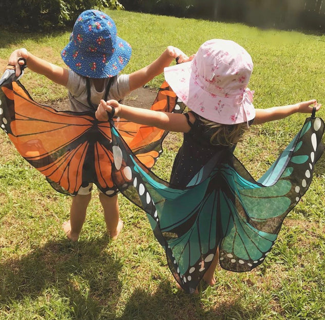 Butterfly Wings