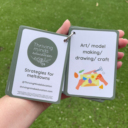 Strategies for Meltdowns Cards- Ringed Set