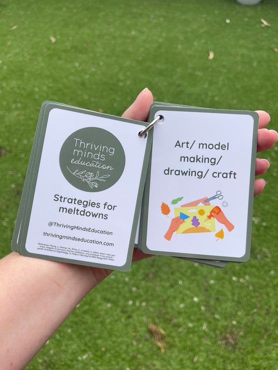 Strategies for Meltdowns Cards- Ringed Set