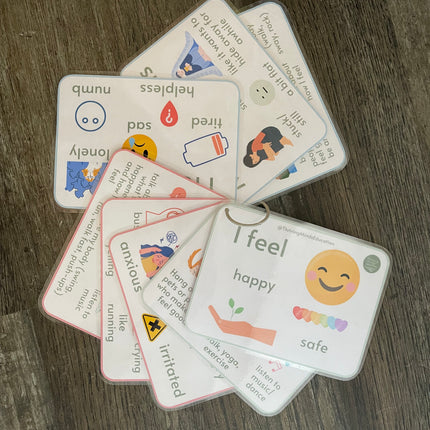 Feelings and Regulation Idea Cards- Laminated Cards