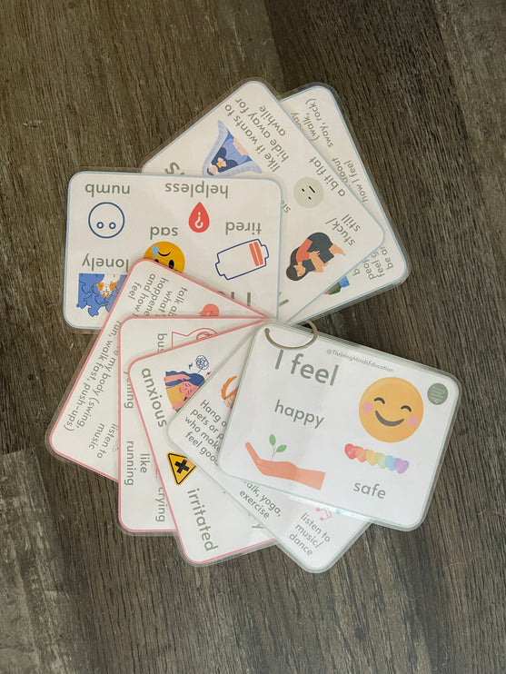 Feelings and Regulation Idea Cards- Laminated Cards