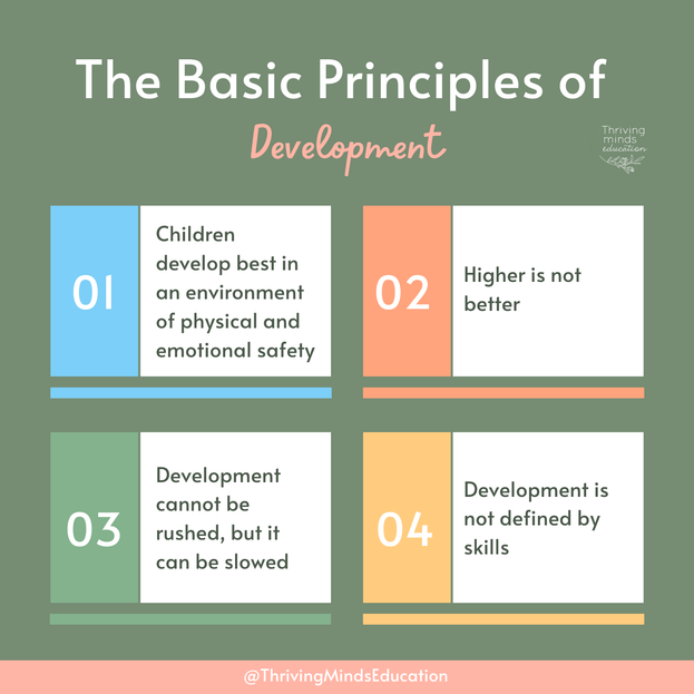 Digital Download Poster: The Basic Principles of Development