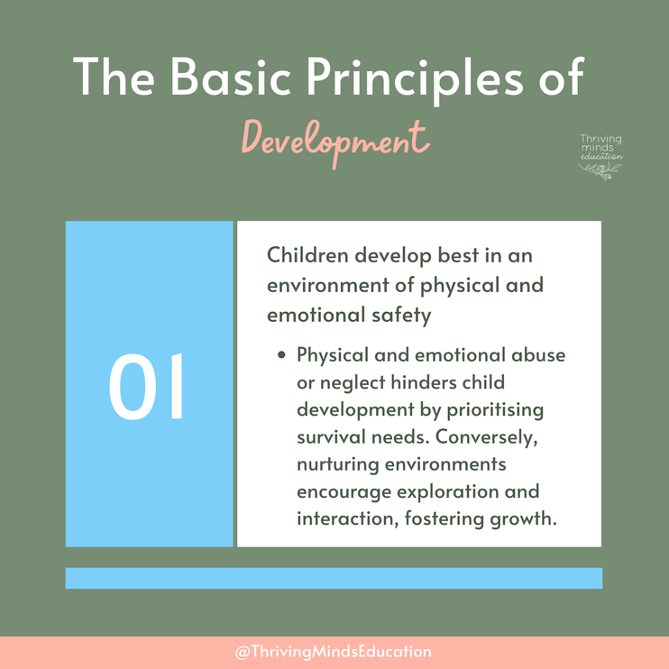 Digital Download Poster: The Basic Principles of Development