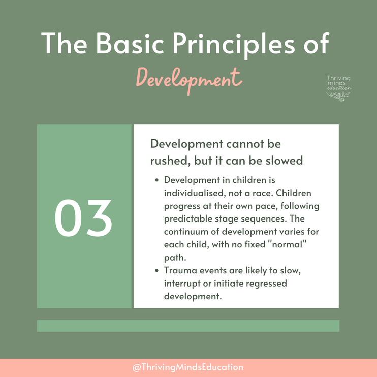 Digital Download Poster: The Basic Principles of Development