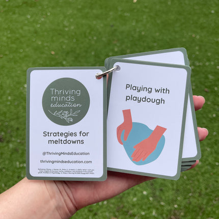 Strategies for Meltdowns Cards- Ringed Set