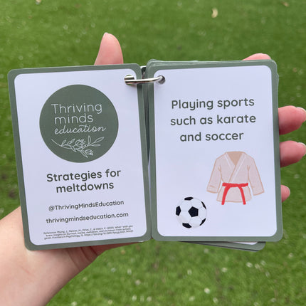 Strategies for Meltdowns Cards- Ringed Set