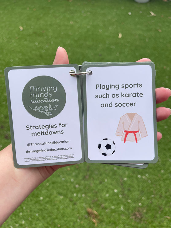 Strategies for Meltdowns Cards- Ringed Set