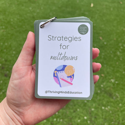 Strategies for Meltdowns Cards- Ringed Set