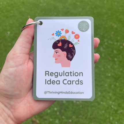 Regulation Idea Cards- Ringed Set