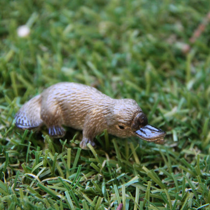 Mini Australian Animal