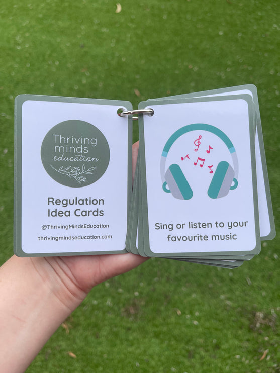 Regulation Idea Cards- Ringed Set