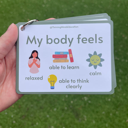 Feelings Cards- Ringed Set