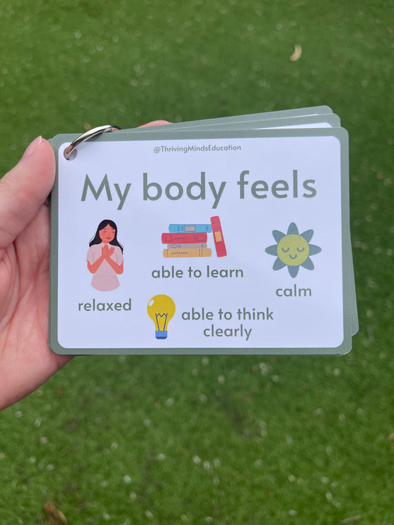 Feelings Cards- Ringed Set