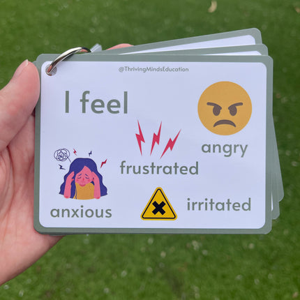 Feelings Cards- Ringed Set