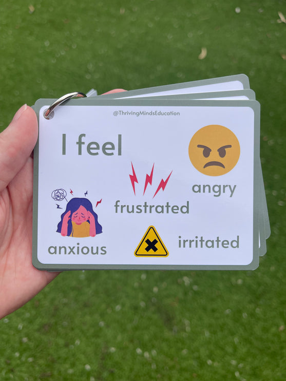 Feelings Cards- Ringed Set