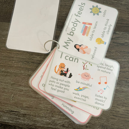 Feelings and Regulation Idea Cards- Laminated Cards