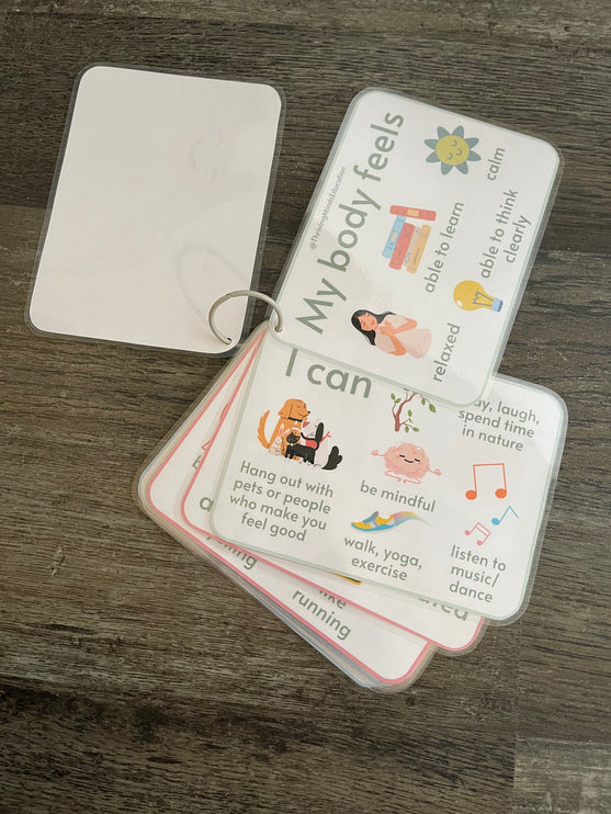 Feelings and Regulation Idea Cards- Laminated Cards