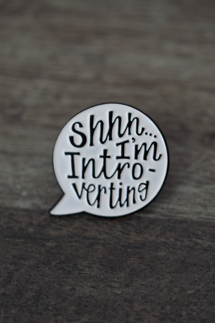 'Shhh I'm Introverting' Pin