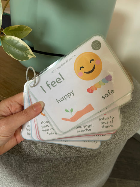 Feelings and Regulation Idea Cards- Laminated Cards