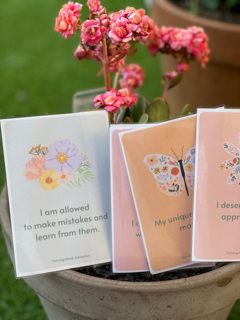 Laminated 6 x Affirmation Statement Cards