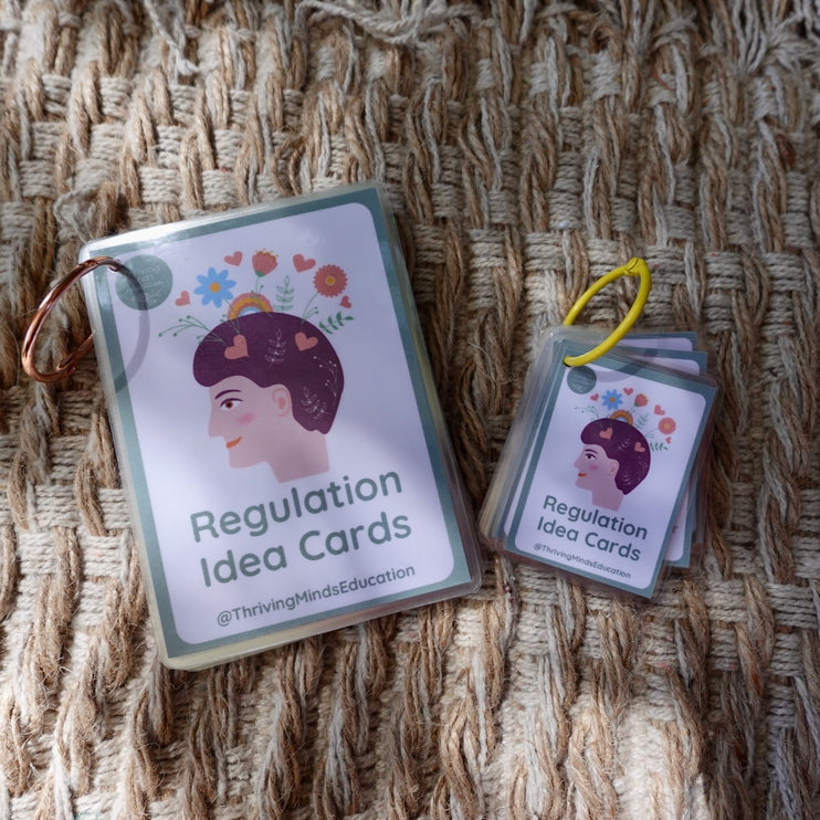 Laminated Regulation Idea Cards