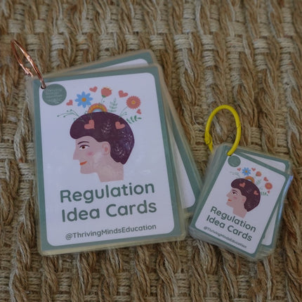 Laminated Regulation Idea Cards