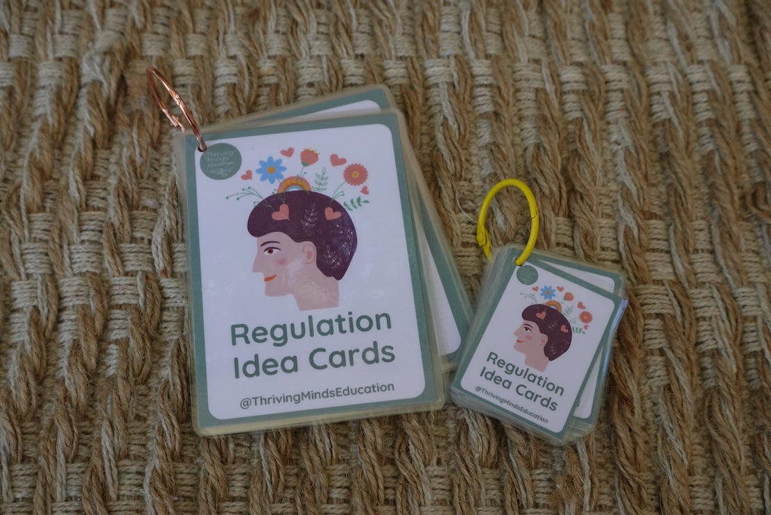 Laminated Regulation Idea Cards