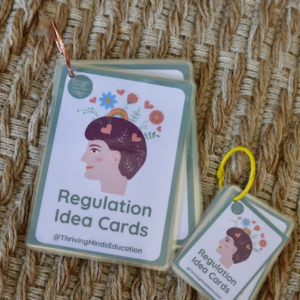 Laminated Regulation Idea Cards