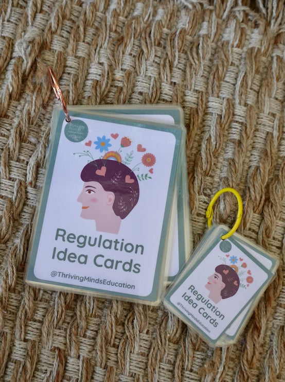 Laminated Regulation Idea Cards