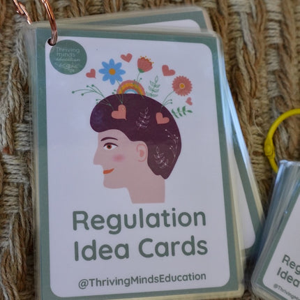 Laminated Regulation Idea Cards