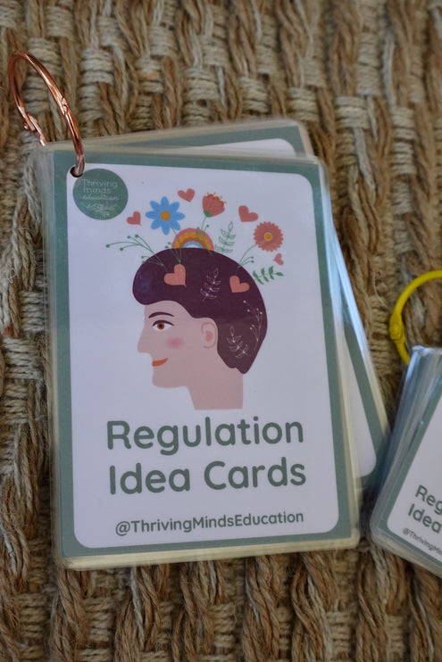 Laminated Regulation Idea Cards