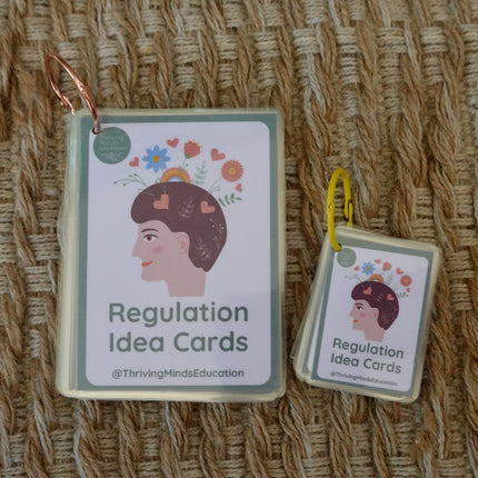 Laminated Regulation Idea Cards