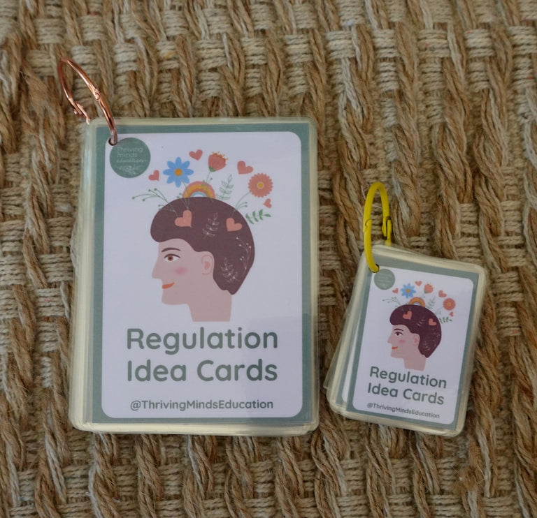 Laminated Regulation Idea Cards