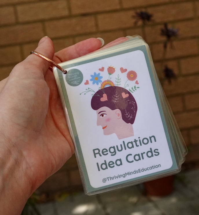 Laminated Regulation Idea Cards