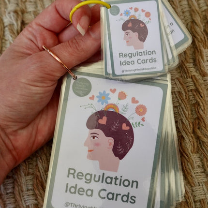 Laminated Regulation Idea Cards