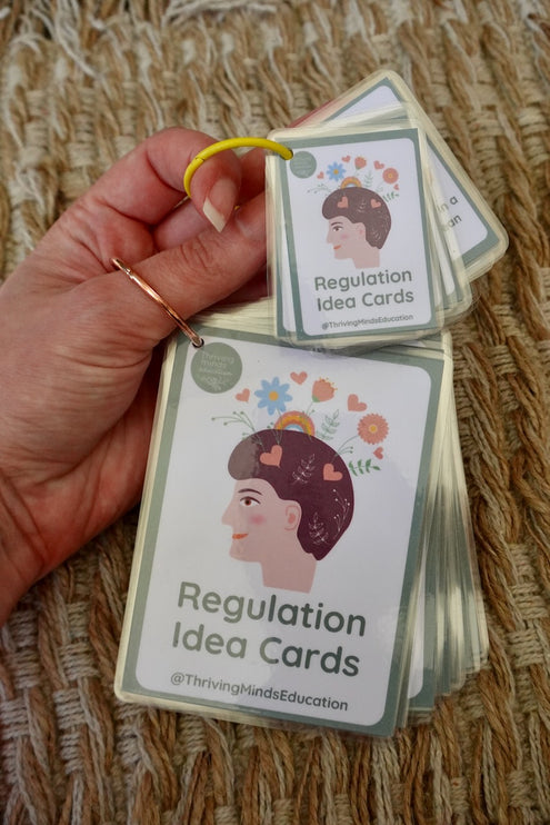 Laminated Regulation Idea Cards