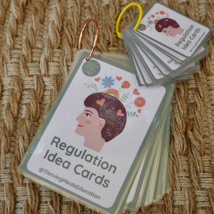 Laminated Regulation Idea Cards