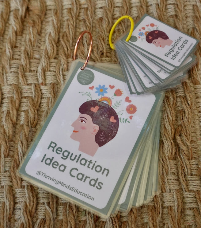 Laminated Regulation Idea Cards