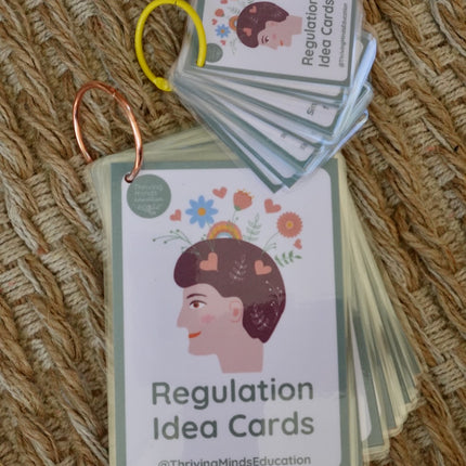 Laminated Regulation Idea Cards