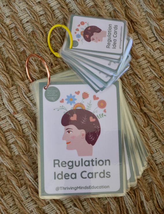 Laminated Regulation Idea Cards