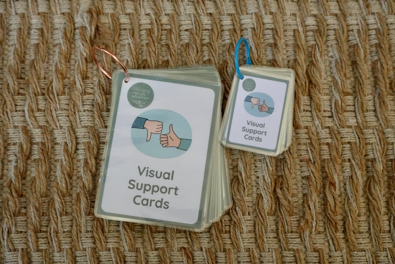 Laminated Visual Support Cards – Thriving Minds Education