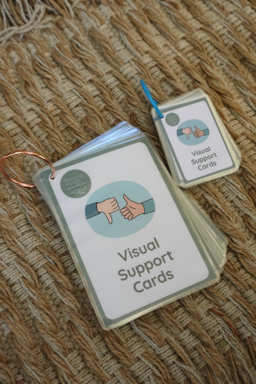 Laminated Visual Support Cards – Thriving Minds Education