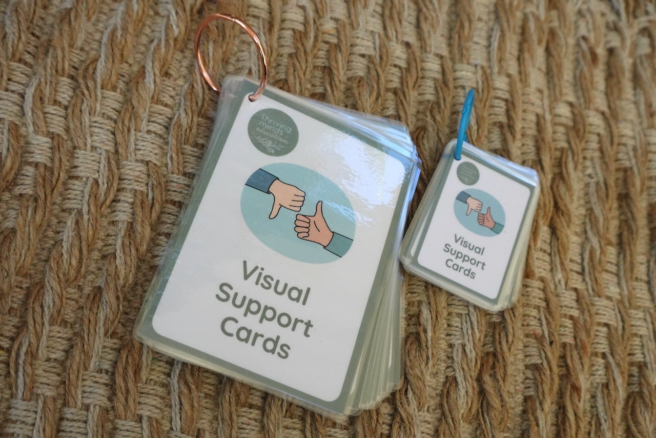 Laminated Visual Support Cards – Thriving Minds Education