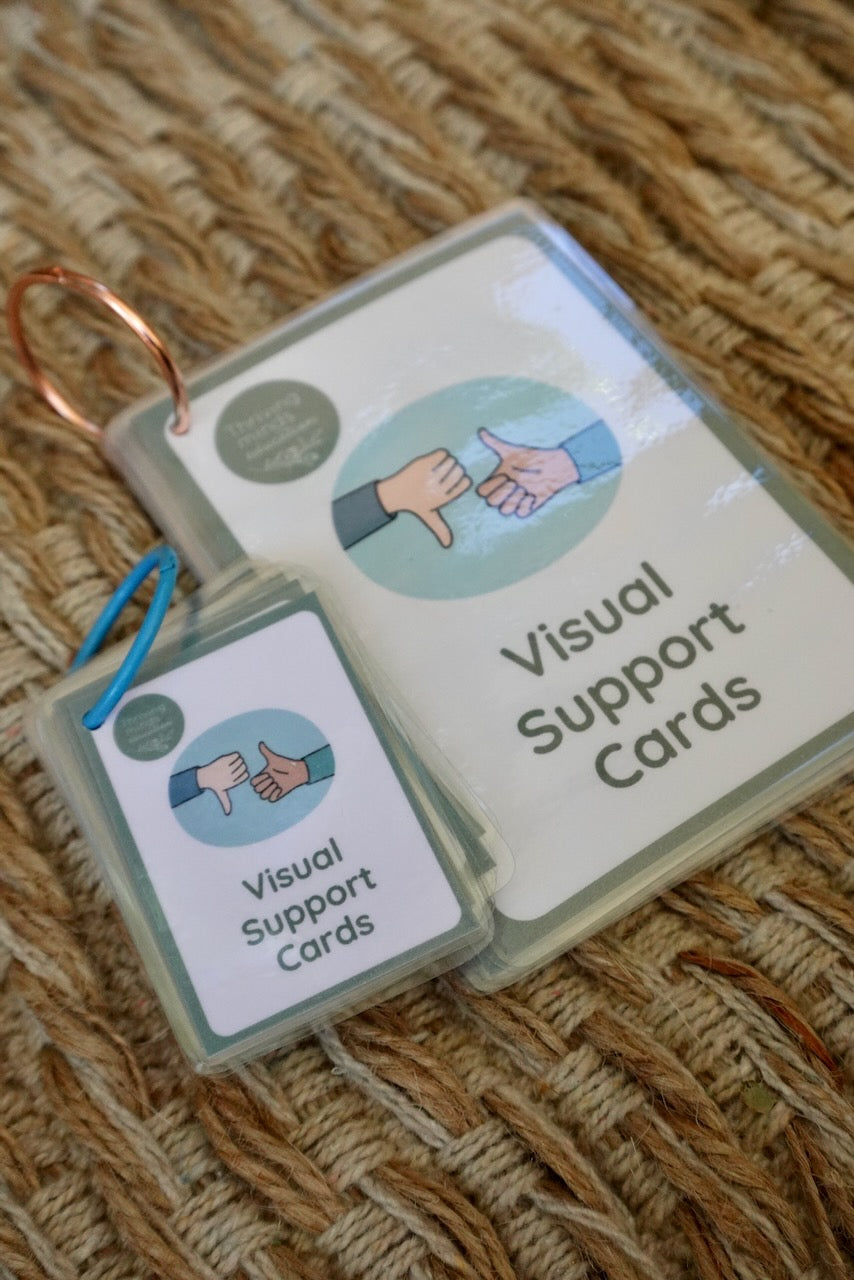 Laminated Visual Support Cards – Thriving Minds Education