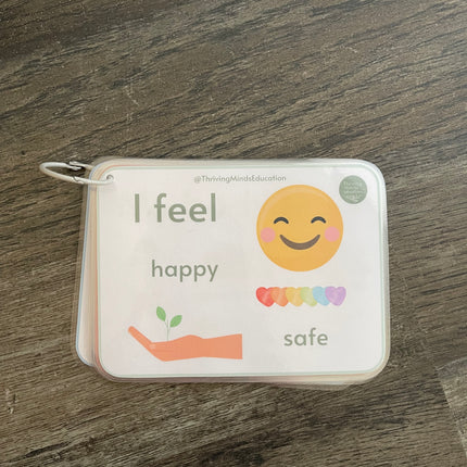 Feelings and Regulation Idea Cards- Laminated Cards