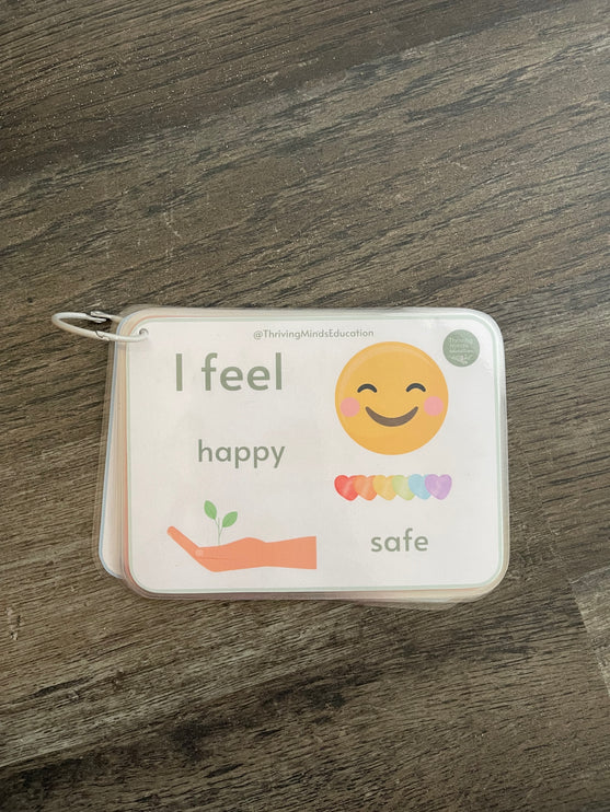 Feelings and Regulation Idea Cards- Laminated Cards