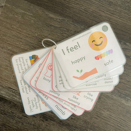 Feelings and Regulation Idea Cards- Laminated Cards